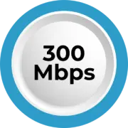 bandwidth 300mbps